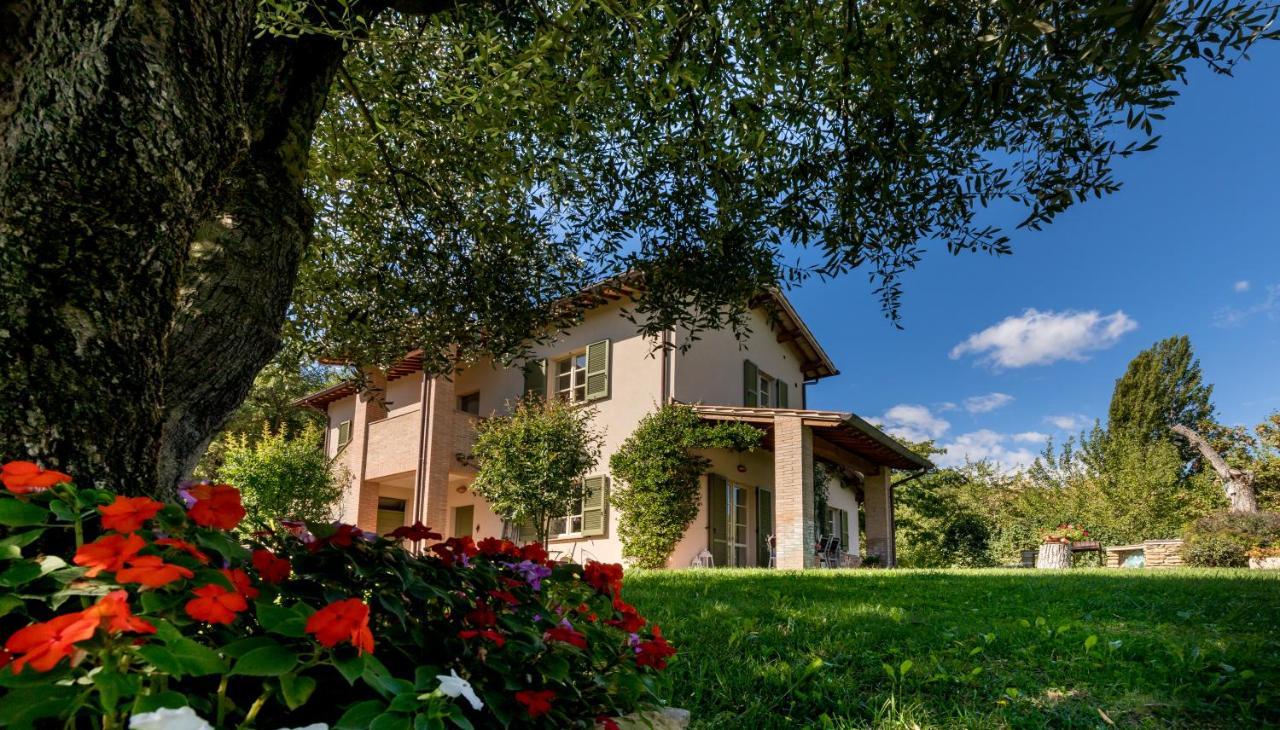 Altra Meta B&B Губбіо Екстер'єр фото